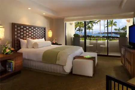 Hilton Waikoloa Village - 241