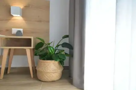 Anassa Suites - 150