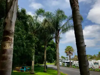 Half Moon Bay Motel - 81