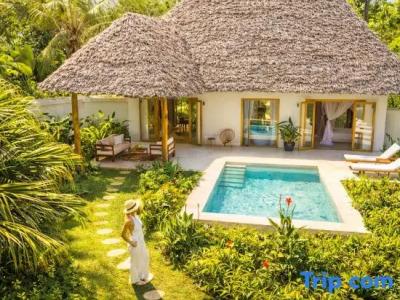 Zanzi Resort Private Paradise - 69