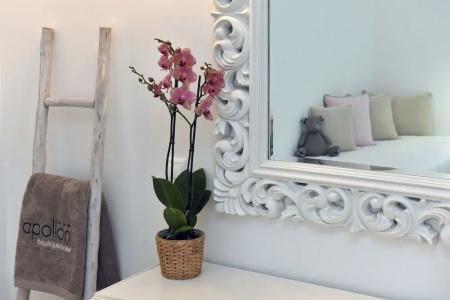 Apollon Boutique - 73