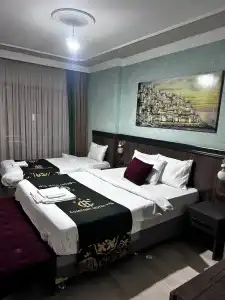 Comfort Van - 33