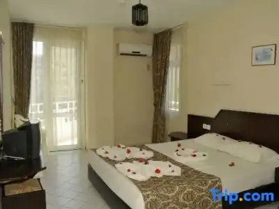 Bariscan - 23