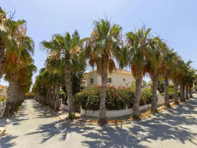 Meneou Seaside Mansion 7 - 46