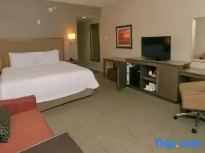Hampton Inn Springfield-South - 43