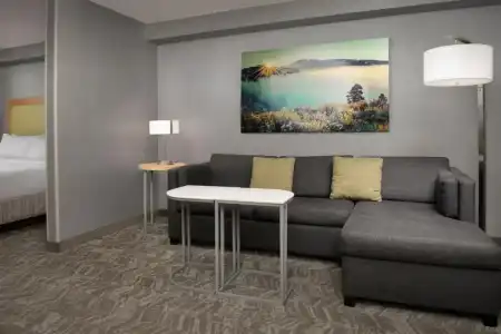 SpringHill Suites by Marriott Boise ParkCenter - 42
