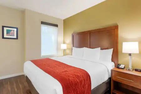 Comfort Inn & Suites near Ontario Airport - 3