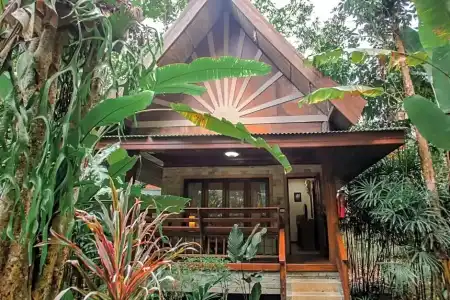 The Vatika Resort and Spa - 43