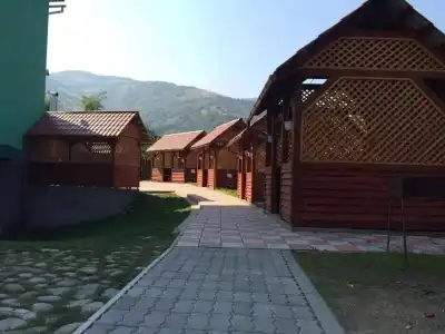 Dream Hostel Carpathians Rakhiv - 1
