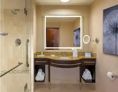 Hilton Americas - - 45
