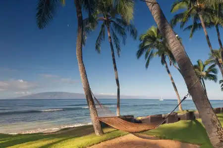 Hyatt Regency Maui Resort & Spa - 16