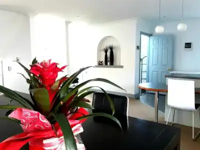 Lush & Co Auckland Bed & Breakfast - 43