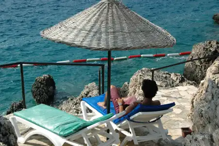 Arpia - 19