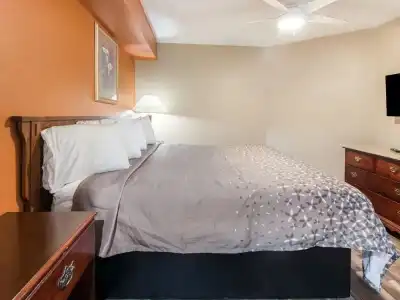 Mountain Vista Inn & Suites - 52