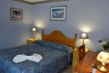 Palms Bed & Breakfast - 4