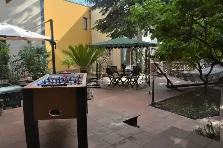 Betulla dell'Etna - 9
