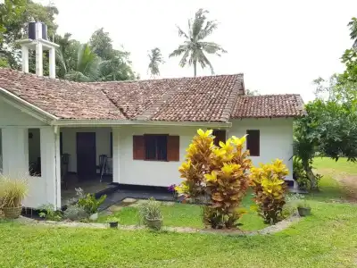 Chitra Ayurveda - 53