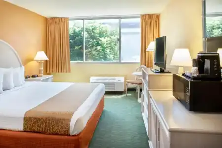 Airport Honolulu, Trademark Collection by Wyndham - 60