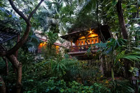 Rabbit Resort Pattaya - 26