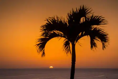 Pestana Royal All Inclusive Ocean & Spa Resort - 24