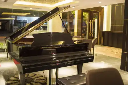 Palazzo Luxury - 19