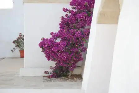 Terra di Leuca - 13