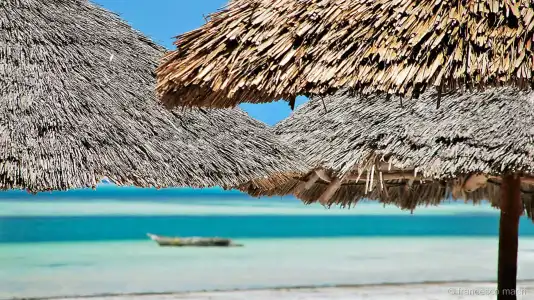 My Blue Zanzibar - 16