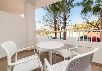 Globales Mimosa - 52