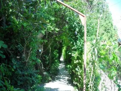 X Hostel Varna - 4