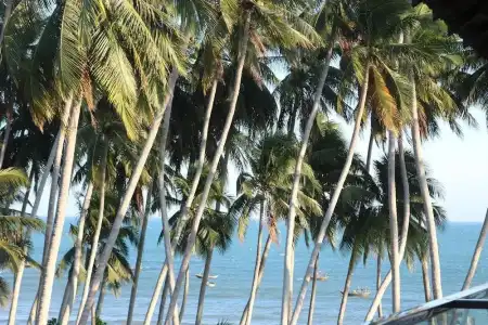 Sunrise Village - 21
