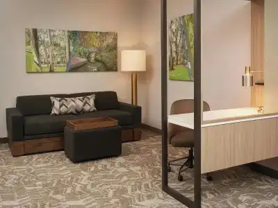 SpringHill Suites by Marriott - 35