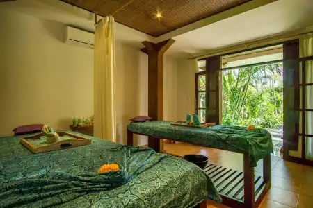 Villa Sonia Ubud - 1