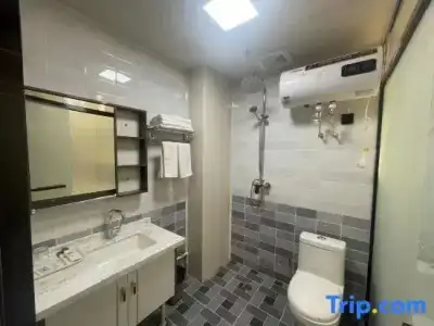 ibis Singapore Novena - 50