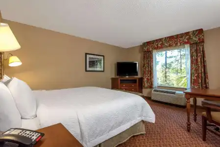 Hampton Inn & Suites Florence-North-I-95 - 53