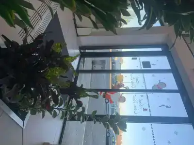 Hôtel des Etats Unis - 16