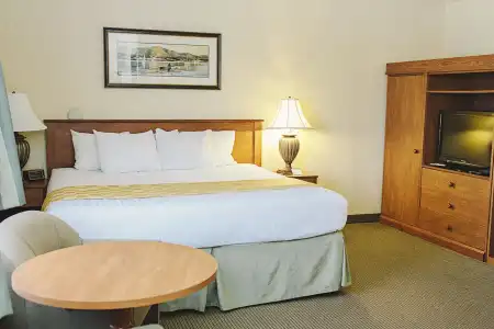 Lavissh Inn and Suites - 3