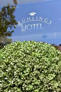 Fruehlings - 40