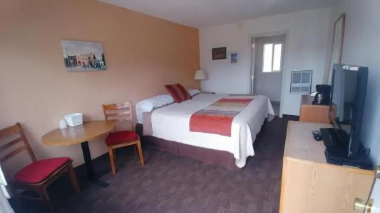 Blue Pine Motel - 11