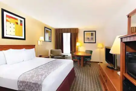 La Quinta Inn by Wyndham Orlando International Drive North - 15