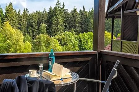 Relexa Harz-Wald Braunlage - 31