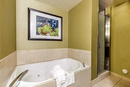 Hilton Garden Inn St. George - 80