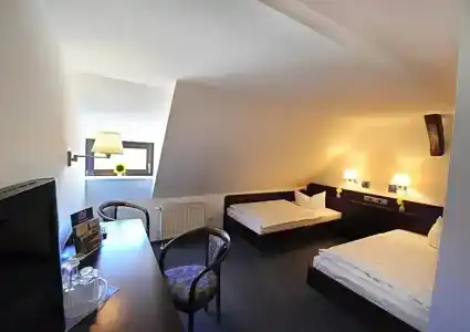 Goldener Adler - 25