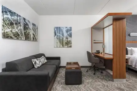 SpringHill Suites by Marriott Chattanooga Downtown/Cameron Harbor - 47