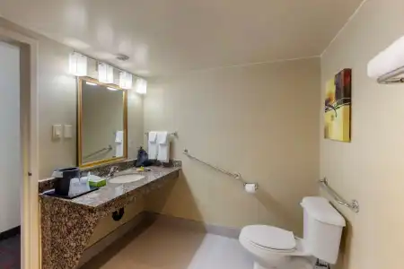Best Western Plus Toronto Airport - 9