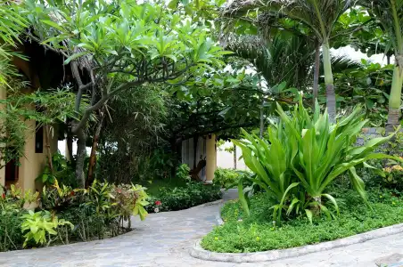 White Sand Resort - 25