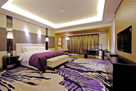 Radisson Blu Wuhan ETD Zone - 5