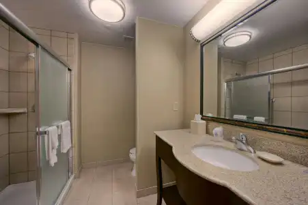 Hampton Inn & Suites Oklahoma City-Bricktown - 42