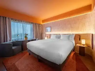 Pullman Sao Paulo Ibirapuera - 210