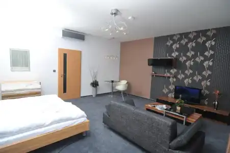 Pension Milk Inn - 27