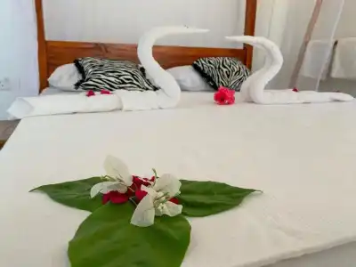 African Paradise Beach - 78